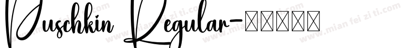 Puschkin Regular字体转换
